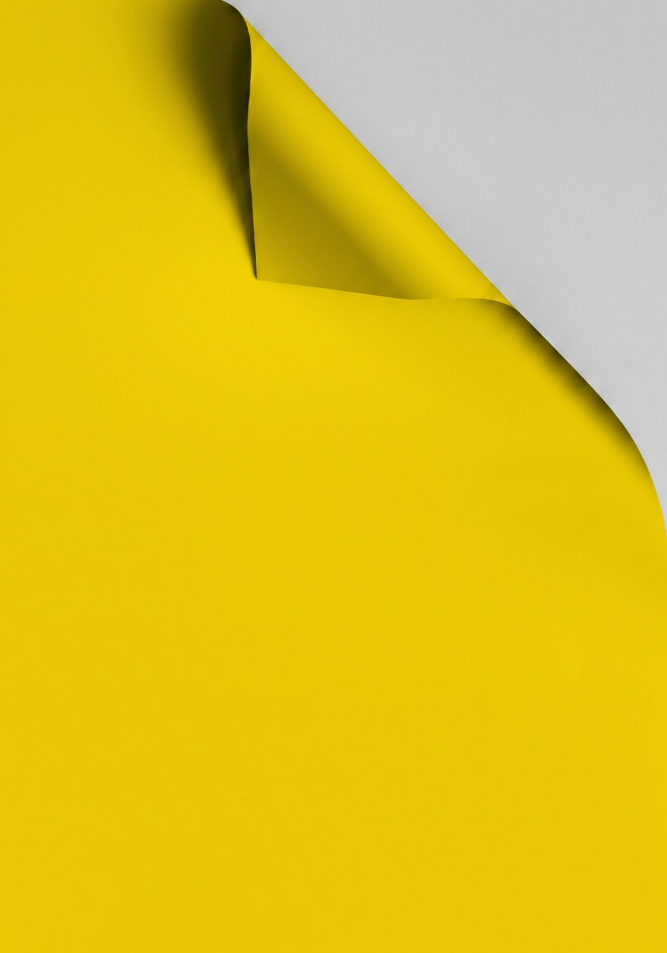 A 3D render of a folding piece of paper